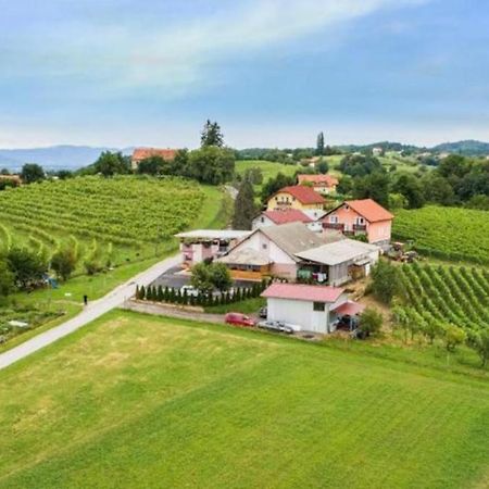 Guesthouse Prenocisca Sirec Ptuj Luaran gambar