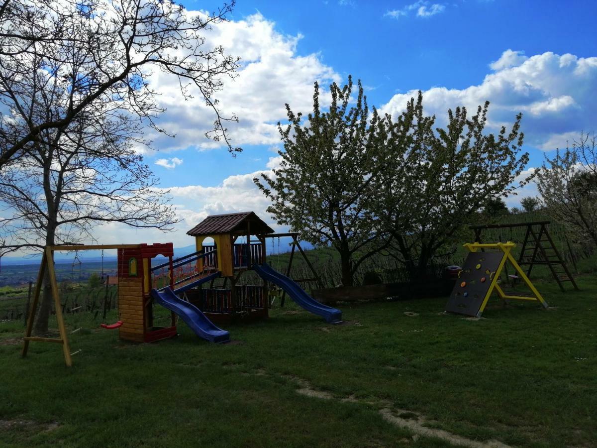 Guesthouse Prenocisca Sirec Ptuj Luaran gambar